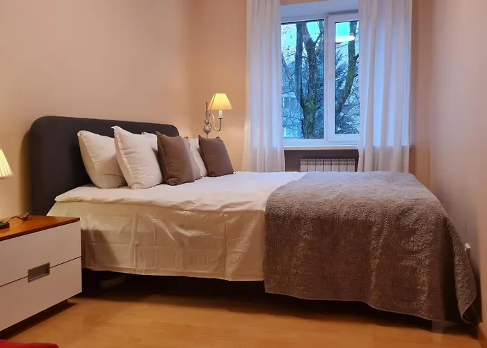 Rehouse, Vilniaus 45 Vilnius