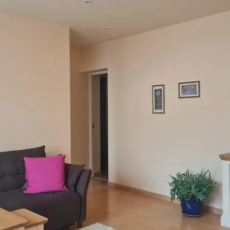 Rehouse, Vilniaus 45 公寓 维尔纽斯