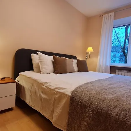 Rehouse, Vilniaus 45 公寓 *