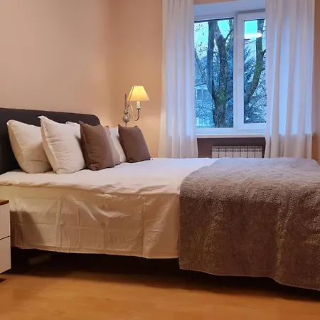 Rehouse, Vilniaus 45 Vilna