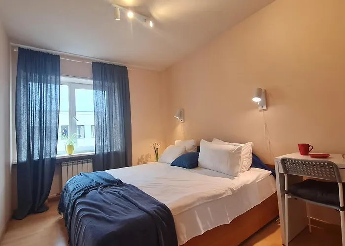 Apartamento Rehouse, Vilniaus 45 *